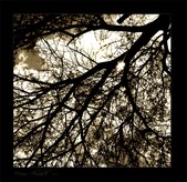 Enlarge photo 38
