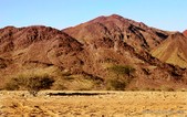 Enlarge photo 26