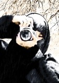Enlarge photo 28