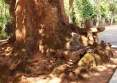 Enlarge photo 37