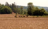 Enlarge photo 39