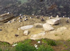 Enlarge photo 5
