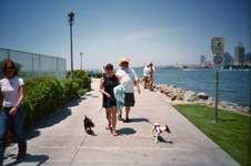 Enlarge photo 22