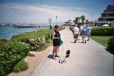 Enlarge photo 21
