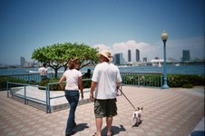 Enlarge photo 17