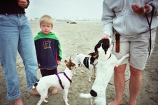 Enlarge photo 6
