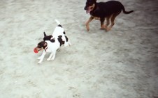 Enlarge photo 2