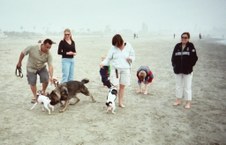 Coronado Island Dog Beach