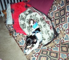 Enlarge photo 20