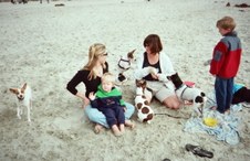 Enlarge photo 16