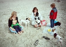 Enlarge photo 15