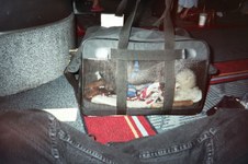 Enlarge photo 10