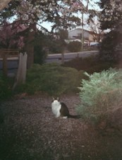 Enlarge photo 16