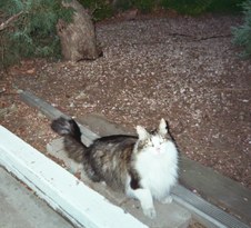 Enlarge photo 17