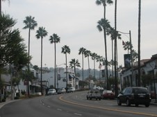 Enlarge photo 33