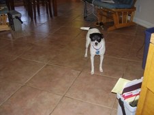 Enlarge photo 16