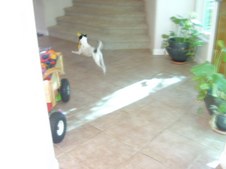 Enlarge photo 18