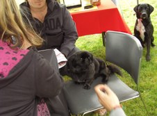 Enlarge photo 28