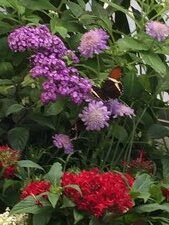 Enlarge photo 29