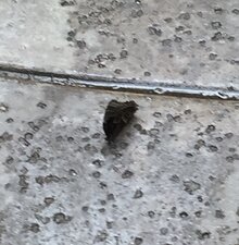 Enlarge photo 19
