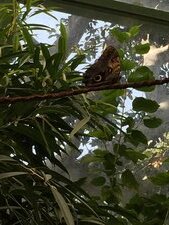 Enlarge photo 28