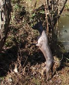 Enlarge photo 44