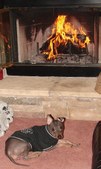 Enlarge photo 36