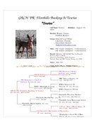 Enlarge Microsoft Word Document 106