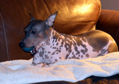 Enlarge photo 7