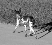 Enlarge photo 10