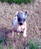 Enlarge photo 31