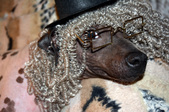 Enlarge photo 13