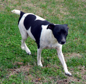 Enlarge photo 43
