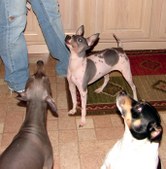 Enlarge photo 12