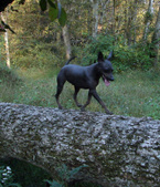 Enlarge photo 28