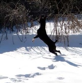 Enlarge photo 34