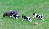 Enlarge photo 16