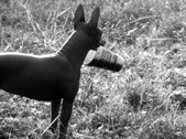 Enlarge photo 23