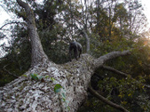 Enlarge photo 8