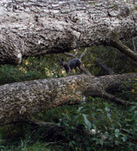 Enlarge photo 19