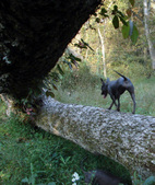 Enlarge photo 21