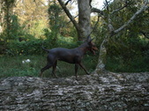 Enlarge photo 15