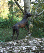 Enlarge photo 16