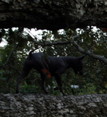 Enlarge photo 18