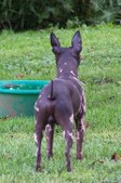 Enlarge photo 99