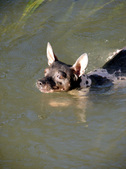 Enlarge photo 38