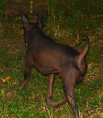 Enlarge photo 42