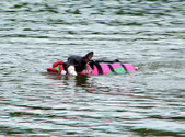 Enlarge photo 39