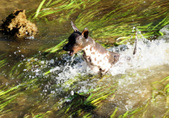 Enlarge photo 21