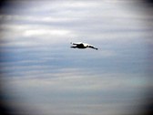 Enlarge photo 36
